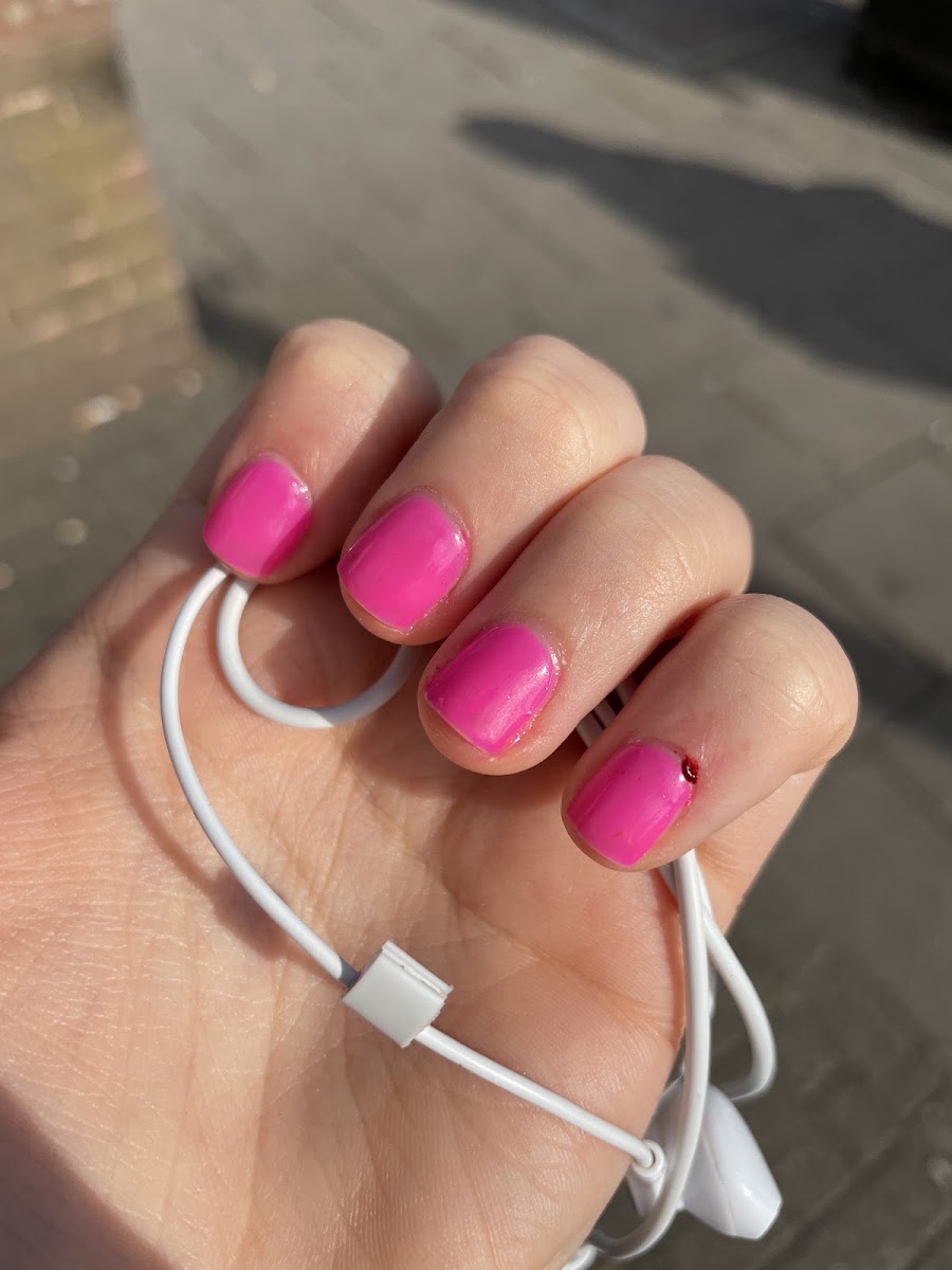 Nails 4 U - our work